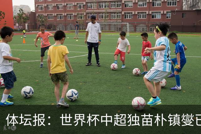 体坛报：世界杯中超独苗朴镇燮已回浙江队，增强球队中后场硬度