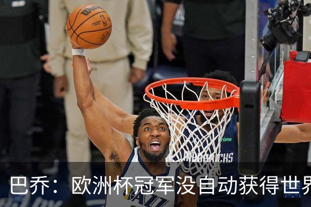 巴乔：欧洲杯冠军没自动获得世界杯资格 这是耻辱