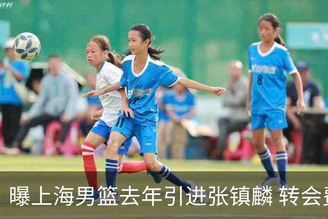 曝上海男篮去年引进张镇麟 转会费投入超5000万