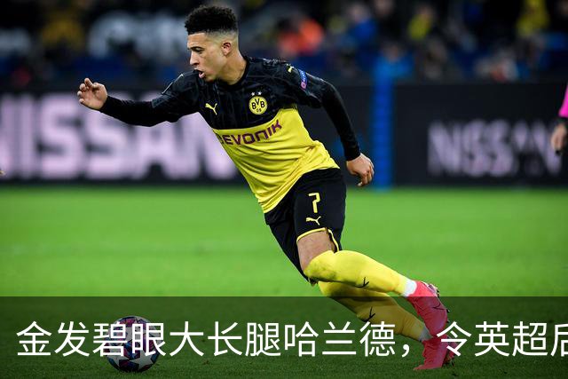 金发碧眼大长腿哈兰德，令英超后卫闻风丧胆，一己之力带飞挪威！